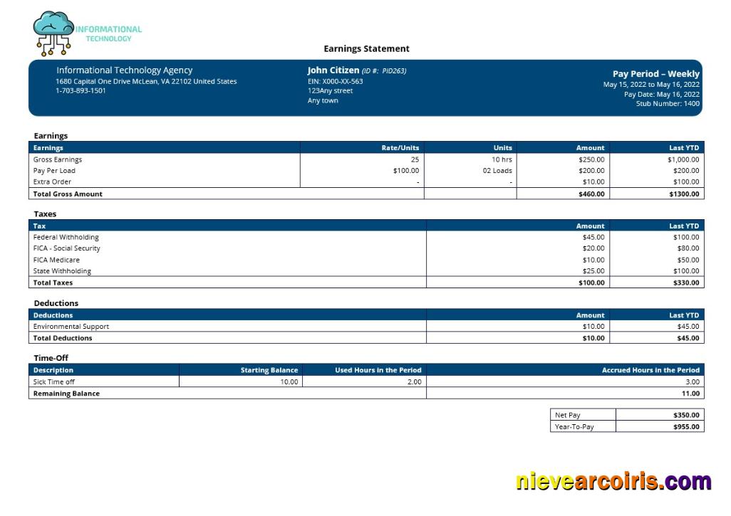 information technology company paystub